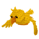 Lava