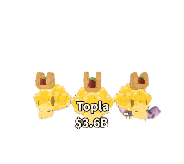 Los Tortus